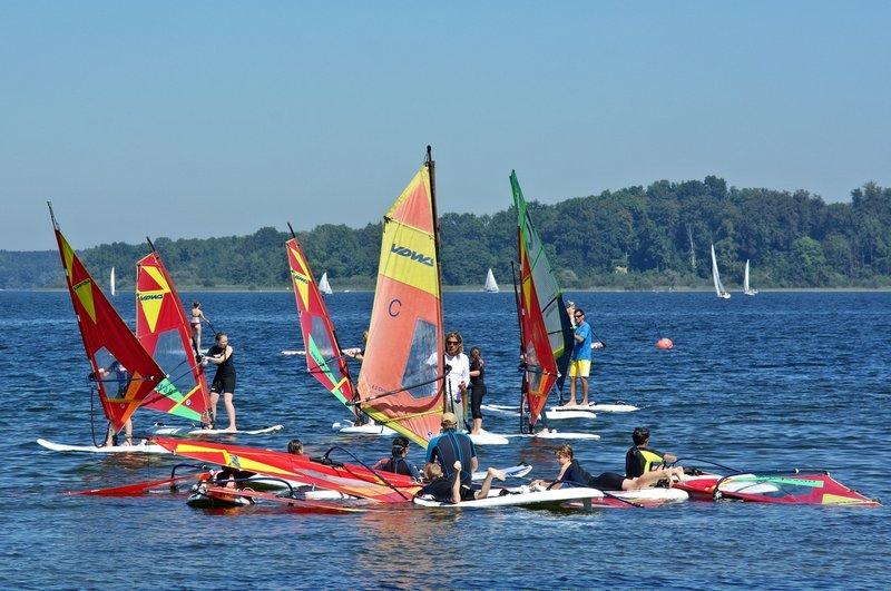 Zajęcia z windsurfingu
