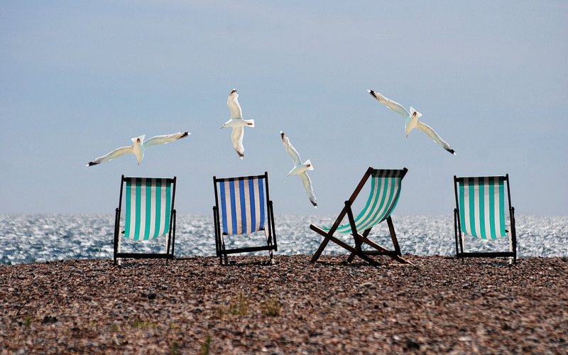 Leżaki plażowe i mewy