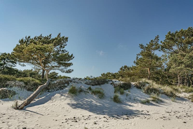Plaża